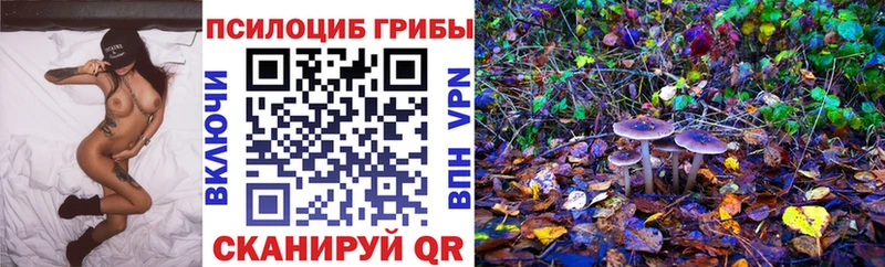 Псилоцибиновые грибы прущие грибы  Камышин 