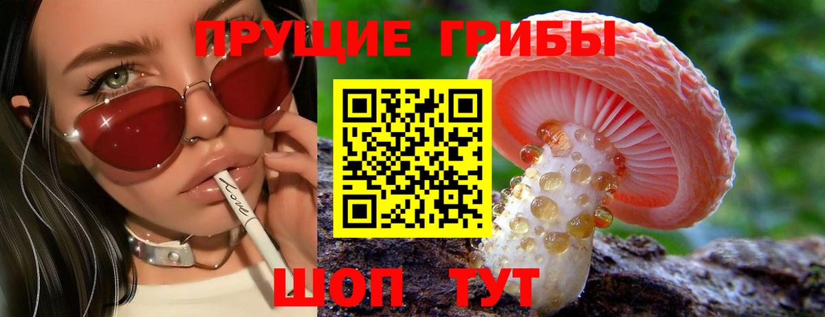 Галлюциногенные грибы Cubensis Камышин
