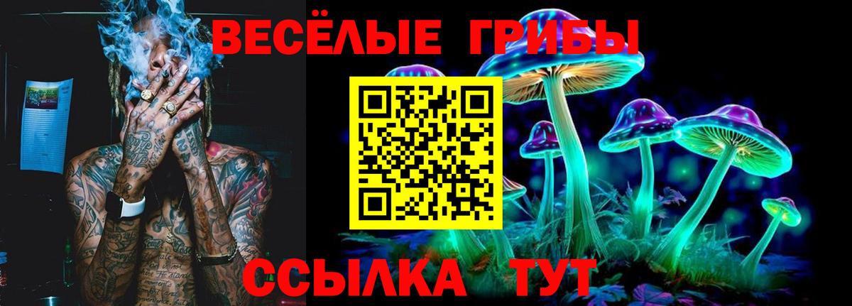 Псилоцибиновые грибы Cubensis  Вход с VPN  Камышин 