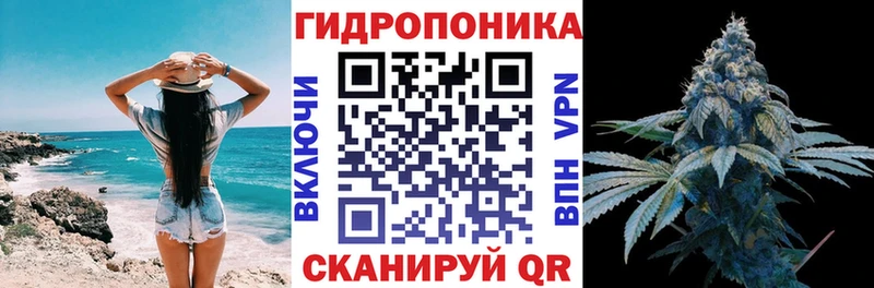 Бошки марихуана сатива Камышин